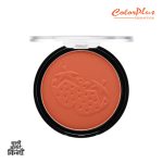 ColorPlus Cosmetics Odbo Blush Wonder 01